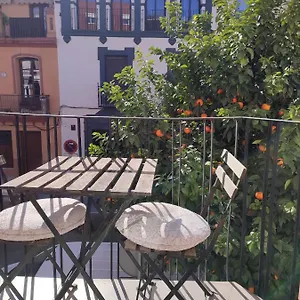 https://loft-house-triana-seville.es-andalucia.com